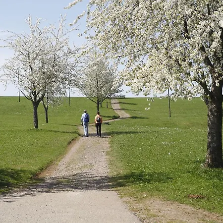 Restaurant Buergerstueble 3* St. Peter