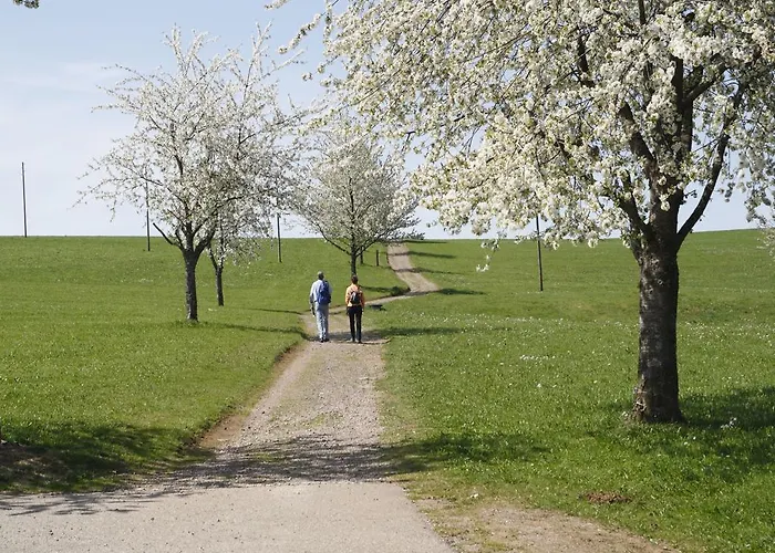 Restaurant Buergerstueble 3* ザンクト・ペーター